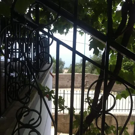 Joni's House