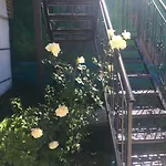 Joni's House