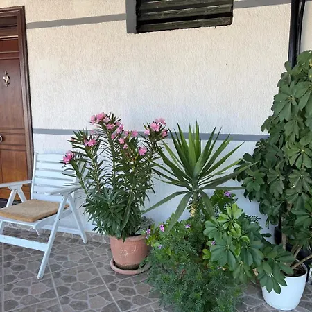 Joni's House 3*